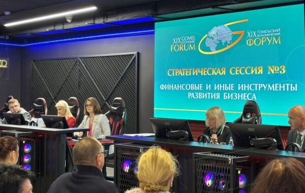 Финансовые и иные инструменты развития бизнеса
